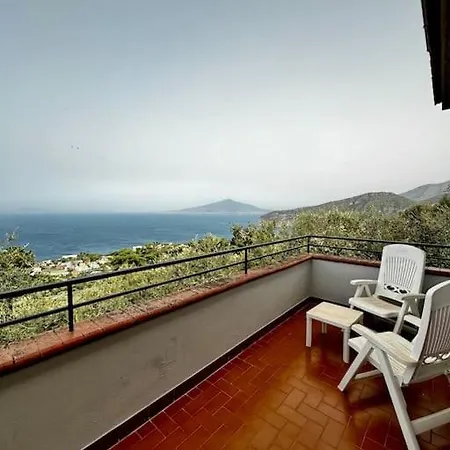 Belvedere -