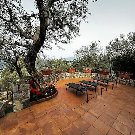 Belvedere - Villa Sorrent